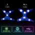 Flashseen LED Dog Harness - Lighted USB Rechargeable Pet Harness for Small, Medium, Large Dogs (Blue, L)