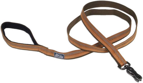 Coastal Pet K9 Explorer Reflective Dog Leash with Scissor Snap - Durable Nylon Leash for Dogs, Campfire Orange, 1" x 6'