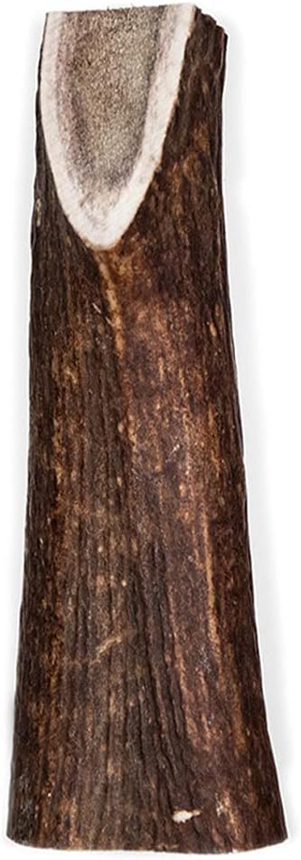 100% Natural Grade A Premium Whole Deer Antler for Dogs - Long-Lasting Chew for Aggressive Chewers, Large Breeds