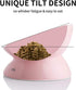 Sweejar Slanted Ceramic Cat Bowls, Elevated Porcelain Pet Feeder for Food or Water, Backflow Prevention (Pink)