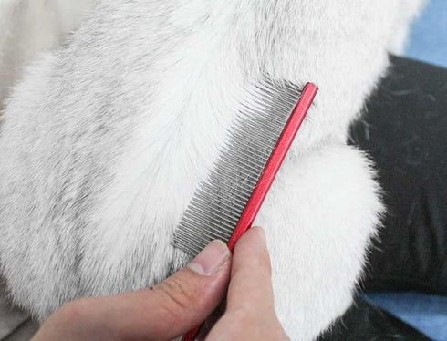 Pet Grooming Comb, Rat Tail Comb for Cat Hair Trimming, Dog Hairstyle Comb, Float Hair Removal for Home Grooming, One