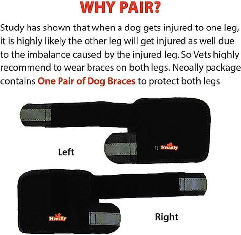 NeoAlly Dog Leg Brace for Improved Mobility, Small to Medium, Black, 1 Pair, Reflective Straps