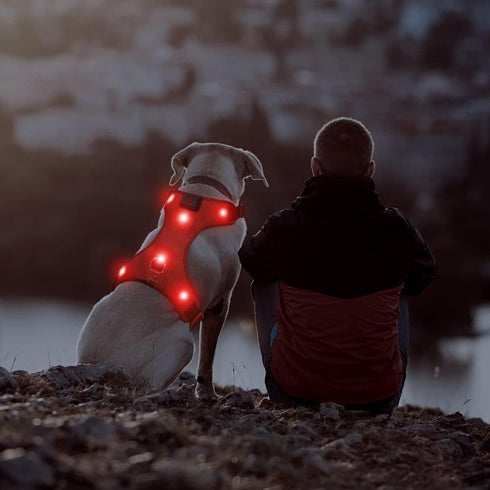 Light Up Dog Harness - Rechargeable LED Vest, No-Pull Glowing Safety Pet Harness for Night Walking & Camping (Red,