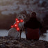 Light Up Dog Harness - Rechargeable LED Vest, No-Pull Glowing Safety Pet Harness for Night Walking & Camping (Red,
