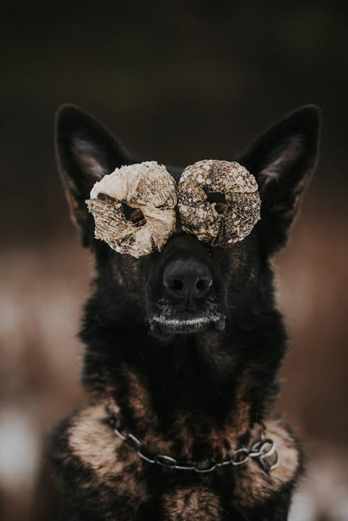 Eli Cod Skin Ring 3 Pack, Naturals Premium Dog Treats, Fish Skin Dental Treats, Rich in Protein & Omega 3