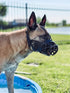 Mayerzon Dog Muzzle - Breathable Basket Muzzles for Small to X-Large Aggressive Dogs, Cage Mouth Guard for Training