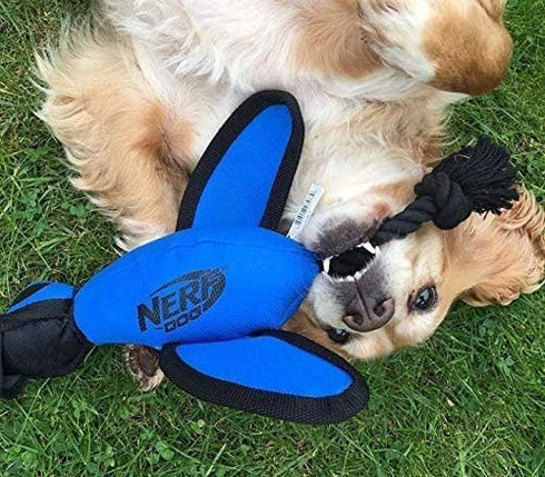 Nerf Dog Large Nylon Launching Duck, Interactive Design, Blue (3473), for All Breeds