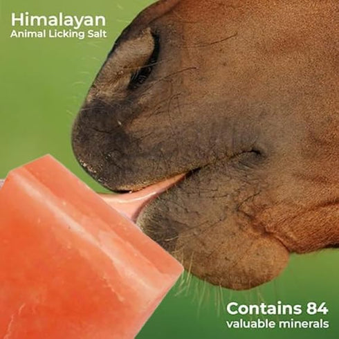 Generic Pack 4 5 Lbs Himalayan Salt Lick Block for Horses | Himalayan Licking Salt Bricks for Farm Animals | Salt Lick