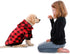 Red Plaid Dog Hoodie Sweater for Dogs, Pet Clothes with Hat and Pocket (M)