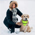 Set of 2 Dog Bandana Reflective Scarf Safety Pet Hunting Bandana, Green, L by Encell