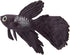 FTVOGUE Lifelike Brown Betta Fish Ornament, Silicone Artificial Funny Fish for Aquarium Decoration