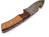 Rare Custom Damascus Fuller Gut Hook Knife, Skinning Knife, Hunting Knife, Outdoor Knife, Camping Knife, Color Wood