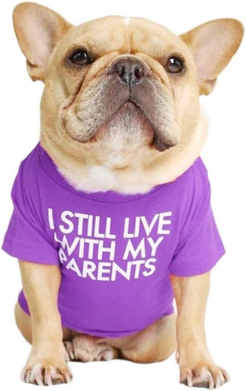 French Bulldog Dog Shirt, Breathable Stretchy T-Shirts for Pets, Medium Puppy Cat Tee Costumes