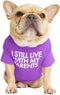 French Bulldog Dog Shirt, Breathable Stretchy T-Shirts for Pets, Medium Puppy Cat Tee Costumes