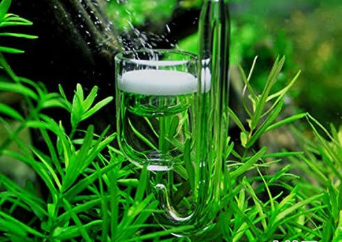 Nano CO2 Diffuser Glass Reactor for Planted Aquarium Tank