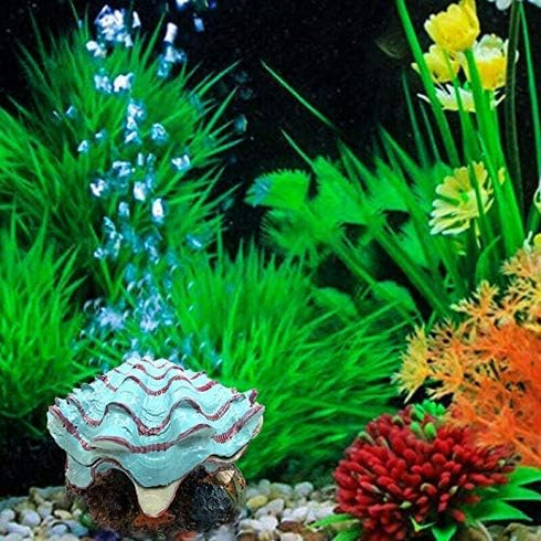 Abnaok Aquarium Shell Decoration - Tropical Clam Live-Action Ornament for Fish Tank Aerating and Oxygenated Decoration