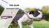 Martingale Collar for Large Dogs, No-Slip Escape Proof Choke No Pull Soft Nylon Dog Training Collars Adjustable for