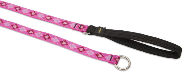 LupinePet Originals 6-foot Puppy Love Slip Lead/Leash for Medium and Larger Dogs