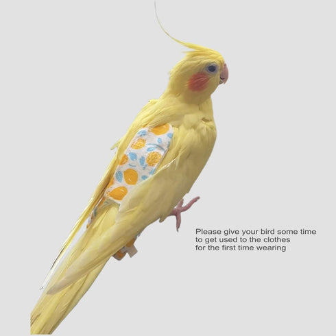 Generic Count, 6) Bird Diapers for Parrot, Cockatiels Conure Monk Parakeets Pigeon, Reusable Parrot Nappy, Bird Clothes