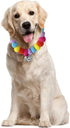 Eye-catching Pom Pom Pet Collar Necklace with Bell for Taking Photos, Walking, Outdoor Sports (S, Orange Red)