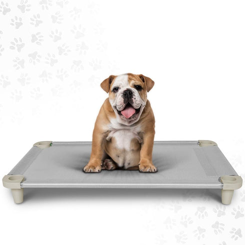 Acrimet Cooling Elevated Pet Dog Bed Cot, Washable Breathable Mesh Fabric, Stainless Steel Frame, Indoor & Outdoor Use