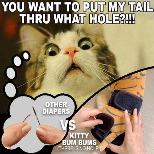 Kitty BumBums (Pack 3) Kitty Bum Bums Reusable Cat Diapers and Stud Pants to Prevent Pee Marking - with Adjustable Tabs