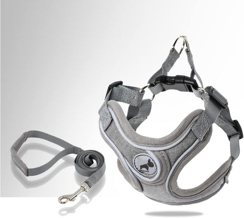 Dog Harness with Leash Set, No Pull Harnesses with Breathable Padded for Small Dogs Training and Running (XS, Gray)