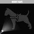 Didog Soft Flannel Padded Dog Vest Harness, No Pull/Quick Fit Reflective Strap, Easy for Training Walking (XXS: Chest