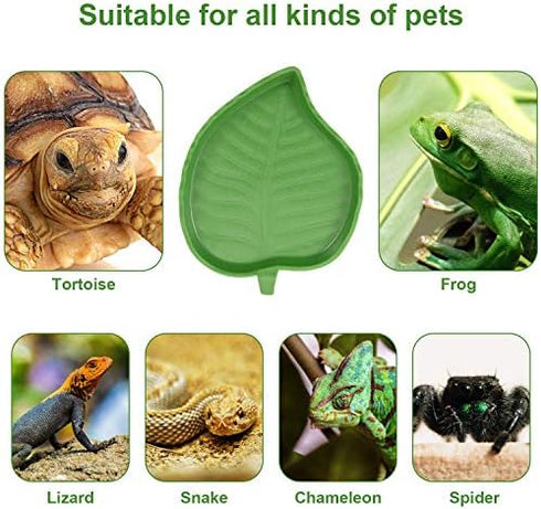 Boao 2 Pieces Leaf Reptile Food Water Bowl Plate for Tortoise, Corn Snake, Bearded Dragon, Lizards, Gecko, 2 Sizes