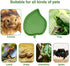 Boao 2 Pieces Leaf Reptile Food Water Bowl Plate for Tortoise, Corn Snake, Bearded Dragon, Lizards, Gecko, 2 Sizes