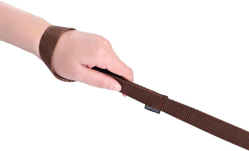 AMAGOOD 6 FT Puppy/Dog Leash - Strong Durable Traditional Style with Easy Collar Hook, Brown