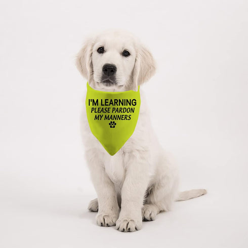 1 Piece Dog Bandana, "I'm Learning Please Pardon My Manners" Scarf for Rescue Dogs, Give Space Design