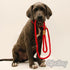Alvalley Rope Dog Leashes with Stopper - Soft Braided No-Pull Gentle Slip Leads for Small, Medium, Large & Extra Large