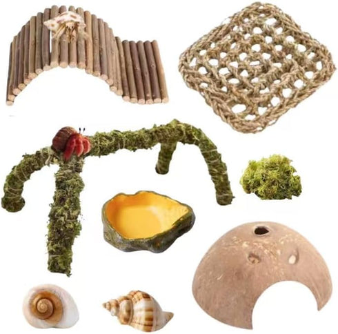 Hermit Crab Accessories 8PCS Natural Hermit Crab Shells, Coconut Hideout, Climbing Toys
