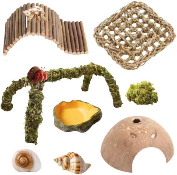 Hermit Crab Accessories 8PCS Natural Hermit Crab Shells, Coconut Hideout, Climbing Toys