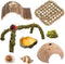 Hermit Crab Accessories 8PCS Natural Hermit Crab Shells, Coconut Hideout, Climbing Toys