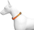 Dog Collar Orange Basic Adjustable, Breathable Quick Release Nylon Pet Collar for Puppy Small Medium Large Dogs