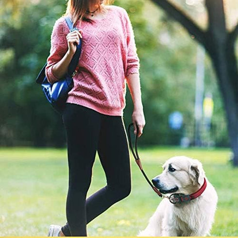 BTINESFUL Short Dog Leash - 18, 24 Inch Strong Nylon Training Traffic Leash for Medium Large Dogs (Black, 1/2" x 24