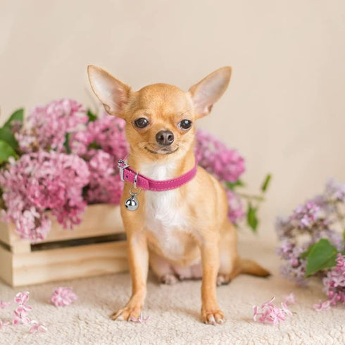 ChengFu XXS Dog Collar - Pink Teacup Dog Collar for Small Dogs & Cats, 3/8 inch Width