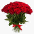 BKR Graphics Roses are Red Bumper Sticker Vinyl Decal 5"