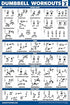 Palace Learning 3 Pack Dumbbell Workouts Posters Volume 1 & 2 with Barbell Exercises - Set of 3 Charts