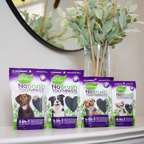 10 oz, 1 Pack Every Day Naturals Dog Dental Chew, No Brush Toothpaste for Small Breeds, Freshens Breath, Unique Texture