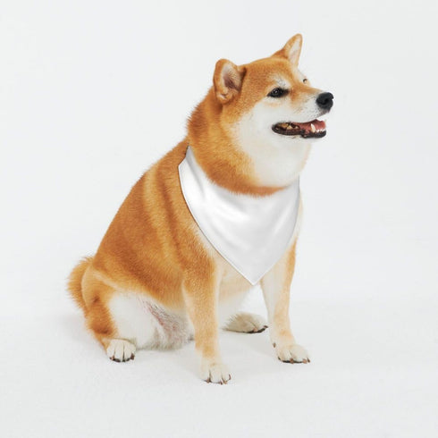 Custom Pet Scarf Dogs Bandana, Add Your Pet Photo Name, Triangle Scarf Dog Kerchiefs Dog Bib Accessories for Puppy Cat