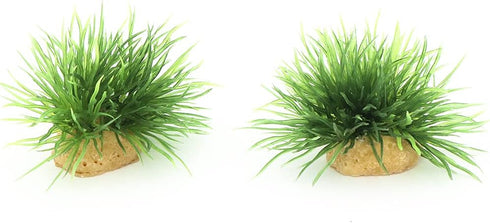 AQUA KT Aquarium Landscape Foreground Grass, Seaweed Green Plants for Marine Freshwater Fish Tank Decor