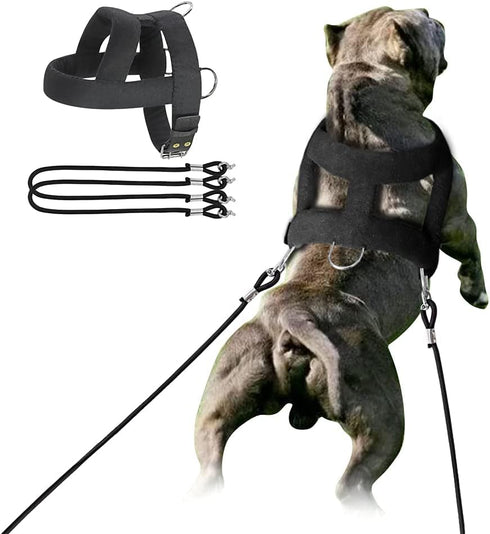 Forestpaw Heavy Duty Dog Harness for Training, Tactical Harness with 3 Metal Rings, Soft Padded for Medium Large Dogs,