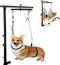 Mluyeri 360 Rotatable Dog Grooming Arm with Clamp,Foldable Adjustable Height Dog Grooming Table