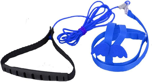 Birds Adjustable Harness and Leash, Parrot Outdoor Flying Training Traction Rope Straps with Cute Wing for Small Animal