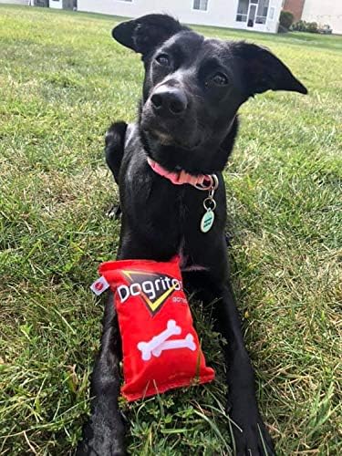 SPOT Fun Foods The Whimsical Dog Toy with Squeaker | Interactive Plush Chew and Squeak Toy for Small and Large Breeds |