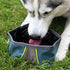 ZippyPaws Adventure Dog Bowl - Graphite Color
