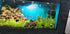Aquarium Background Poster Under Water Cave Sunlight Fish Tank Backdrop Decorations (72" x 25"/ 183 x 64cm)
